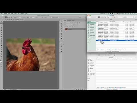 Photoshop Batch Resize Photoshop Batch Resize
