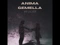 anima gemella mr.silver