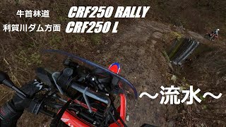 【CRF250RALLY】牛首林道　⑤利賀川ダム方面へ　道に川流れてる～　落葉も流水も滑る滑る編　CRF250ラリー＆CRF250L　insta360 one x2