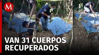 Hallan 14 cuerpos más en fosas clandestinas en La Concordia, Chiapas; suman 31 víctimas