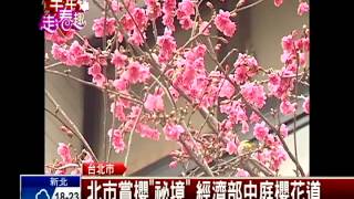 免上山人擠人! 北市市中心賞櫻「祕境」－民視新聞