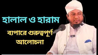 হালাল হারাম ব্যপারে আমার গুরুত্বপূর্ণ নসিহতHalal Haram Faceoff Waz Maulana Sheikh Salah Uddin Ayubee