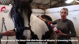 Sue-Helen Shuttleworth shows us how to use Shapley's Easy Out No Rinse Shampoo