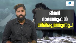 Mammoth Coming Back | മാമ്മത്തുകളെയും  ഭൂമിയിലേക്കു തിരികെയെത്തിക്കാനുള്ള ഗവേഷണം സജീവമാണ്...