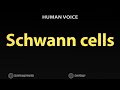 How To Pronounce Schwann cells