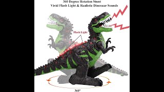 TEMI 8 Channels 2.4G Remote Control Dinosaur for Kids Boys Girls, Electronic RC Toys Educational W.