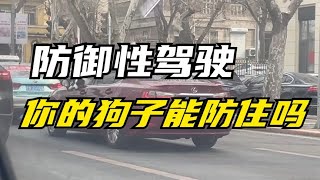 【路上那些事】防禦性駕駛，妳的狗子能防住嗎