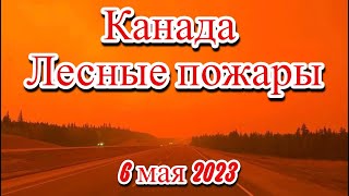 Более 13 000 человек в Западной Канаде эвакуированы из за бушующих в регионе лесных пожаров