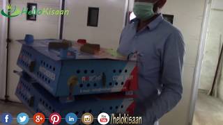 Broiler Hatchery || Poultry || Incubator and Hatcher || Hello Kisaan