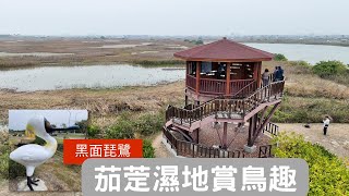 遇見黑面琵鷺 | 賞鳥寶地 | 茄萣濕地公園 | 2023.1.1 | 4K空拍