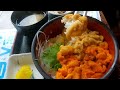 【北海道積丹ドライブ】うに丼人気店「お食事処みさき」で旬の絶品うに丼 _ムラサキウニ＆バフンウニ食べ比べ／余市町「柿崎商店」／お気に入りcafe「森彦本店」【vlog】うに丼の美味しいお店を紹介