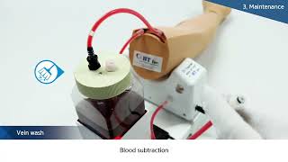 Intravenous Injection Training 2, BT Inc - BT-CSIV 2