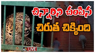 LIVE : నడకదారిలో బోనులో చిక్కిన చిరుత | Leopard Trapped In Cage At Tirumala | 10TV