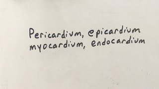 The Heart Wall