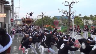 平成26年　八田荘地区　蜂田神社祭礼　西四町　本宮　曳き出し　だんじり