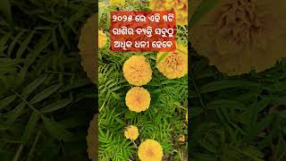 ୨୦୨୫ ରେ ଏହି ତିନୋଟି ରାଶି ର ବ୍ୟକ୍ତି ମାନେ ଅଧିକ ଧନୀ ହେବାକୁ ଯାଉଛନ୍ତି #rashifal #odia #shorts #viralvideo