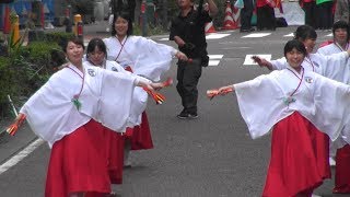 ひとひら　2019　横浜よさこい　2/2