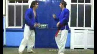 Bushin Kenpo Kai. Morote Seionage