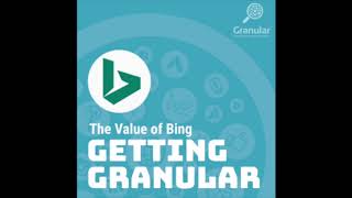 The Value of Bing - Getting Granular Podcast - Episode 1