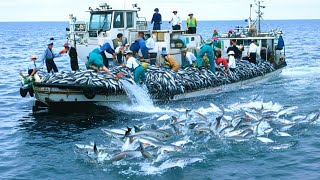 The Cod Millionaire Factory, How Longlines Dominate Greenland’s Oceans