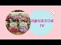 물반응 못하는 다육이들 저면약물관수 그리고 1주 후💕 러블리로즈다육tv