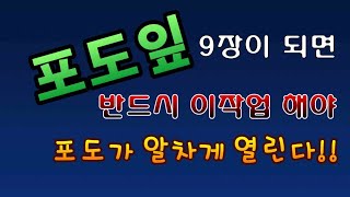 [텃밭농부.614]  포도잎이 9장되면 이런작업 해주세요.