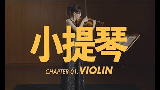 小提琴介紹 Violin