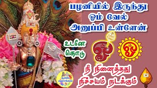 💥பழனியில் இருந்து ஓம் வேல் அனுப்பி உள்ளேன் உடனே தொடு🔥நீ நினைத்தது நிச்சயம் நடக்கும்💯 Murugan Speech