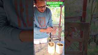 অনেক অপেক্ষার শুরু কাঠাল গ্রাফটিং #agriculture #farmingmethod #farming #mangoflowering