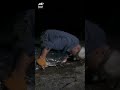 Jeremy Wade Gets Bit By a Huge Catfish! | River Monsters | Animal Planet