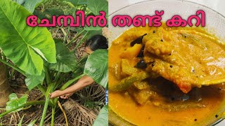 തനിനാടൻ ചേമ്പിൻ തണ്ട് കറി || പഴമക്കാരുടെ ആരോഗ്യ രഹസ്യം ഇതൊക്കെയാണ് #malayalamrecip #food #nature