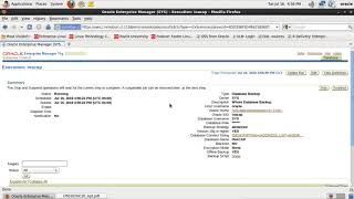backups utilizando Enterprise Manager