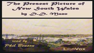 Present Picture of New South Wales | David Dickinson Mann | History | Book | English | 3/3