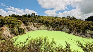 කොල පාට වැව 🇳🇿 | Natural Green Water Lake | Mr Shehan