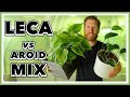 LECA vs AROID Mix - Which Should YOU use?