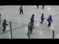 anthony goal 3 vs flypuck pro red minnesota gone wild onehockey tournament