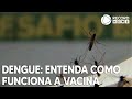 Entenda os próximos passos após a aprovação da vacina contra a dengue