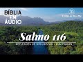 SALMO 116 - BÍBLIA MENSAGEM - EM ÁUDIO - BÍBLIA FALADA - Cristão