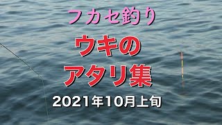 チヌがフカセ釣りで好反応。棒ウキのアタリ集。【フカセ釣り】2021年10月上旬