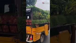 ഇതെന്താ പിടക്കുന്ന ഗാർഡനോ? | Auto Garden