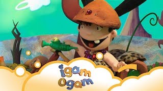 Igam Ogam: Press The Button S2 E20 | WikoKiko Kids TV