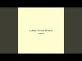 Lullaby Sunset Breeze