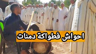 النشاط حتى شاط | احواش فطواكة سيدي يعقوب نواحي مدينة دمنات  | أفوس افوس 👏 👏 🕺💃