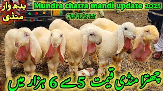 8 January 2025 mundra chatra bakra mandi update sasti mandi dera ghazi khan سردیوں میں ریٹ مناسب ہے