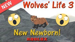 Wolves Life 3 Roblox Female Wolf Ideas