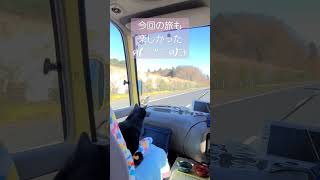 【旅猫】バス旅車中泊ジジ #KassyMagic #旅芸人 #shorts　#ジジ猫