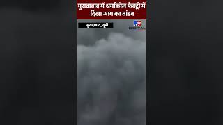 Moradabad में थर्माकोल फैक्ट्री दिखा आग का तांडव | Fire Brigade | Thermocol Factory Fire |#Shorts