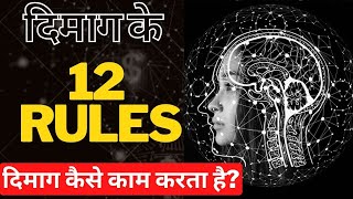 Brain rules book Summary in Hindi by John Medina | 12 Brain Rules That Will Change Your Life