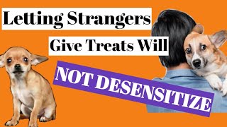 STOP Letting Strangers Give Treats to FEARFUL, REACTIVE DOG – How NOT to Desensitize People