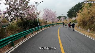 Gopro9 4K 廣州增城南香山花季登山車賞花 Mountain bike in Nanxiang Mountain Zengcheng Guangzhou 20210228